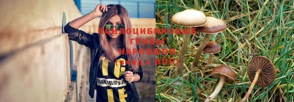 дмт Беломорск