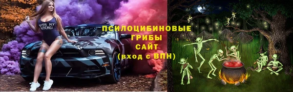 гашик Белоозёрский