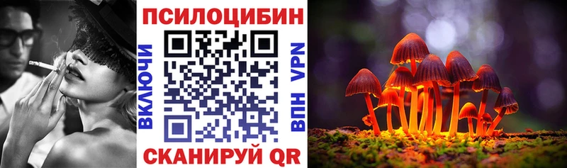 Галлюциногенные грибы Psilocybe закладки Жуковка
